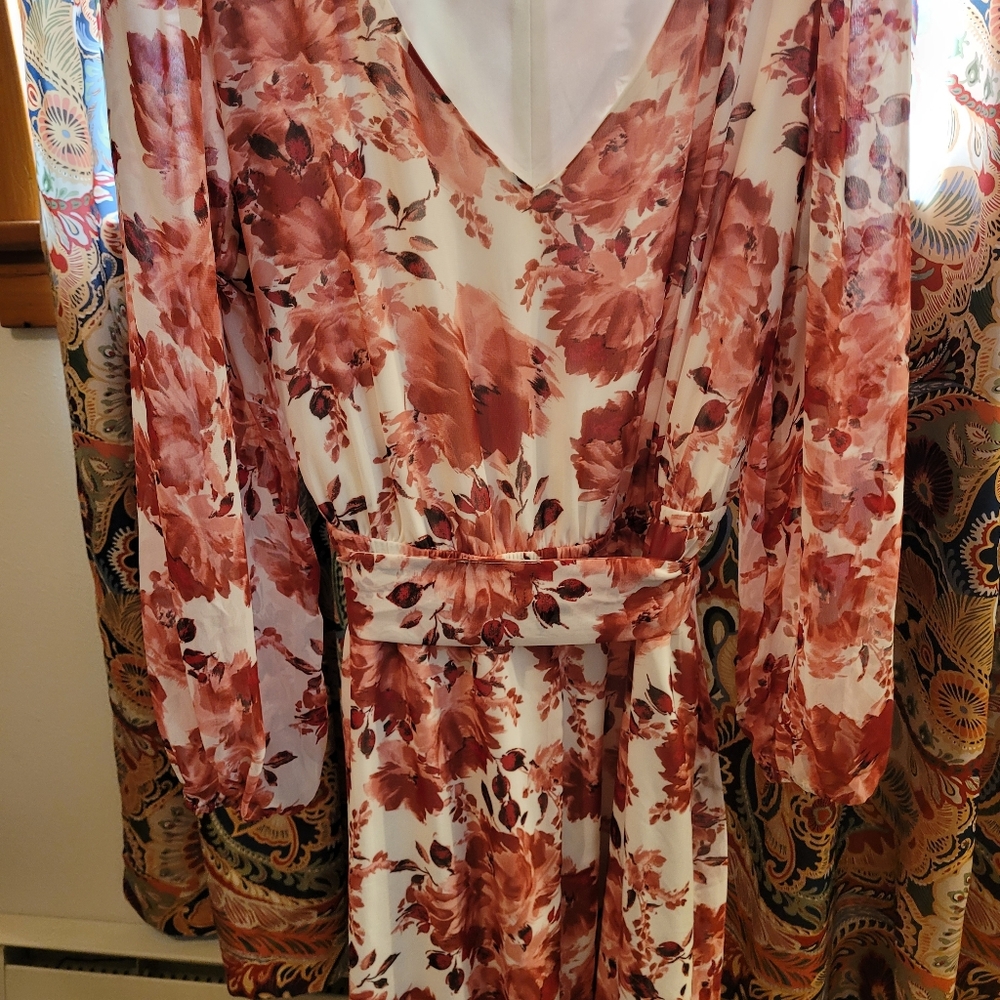 Saturated Floral,Rose-Print V-Neck Long Sleeve Midi Dress in Blush Rose, NWT, L